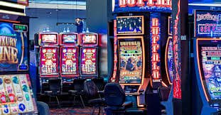 5585 bet